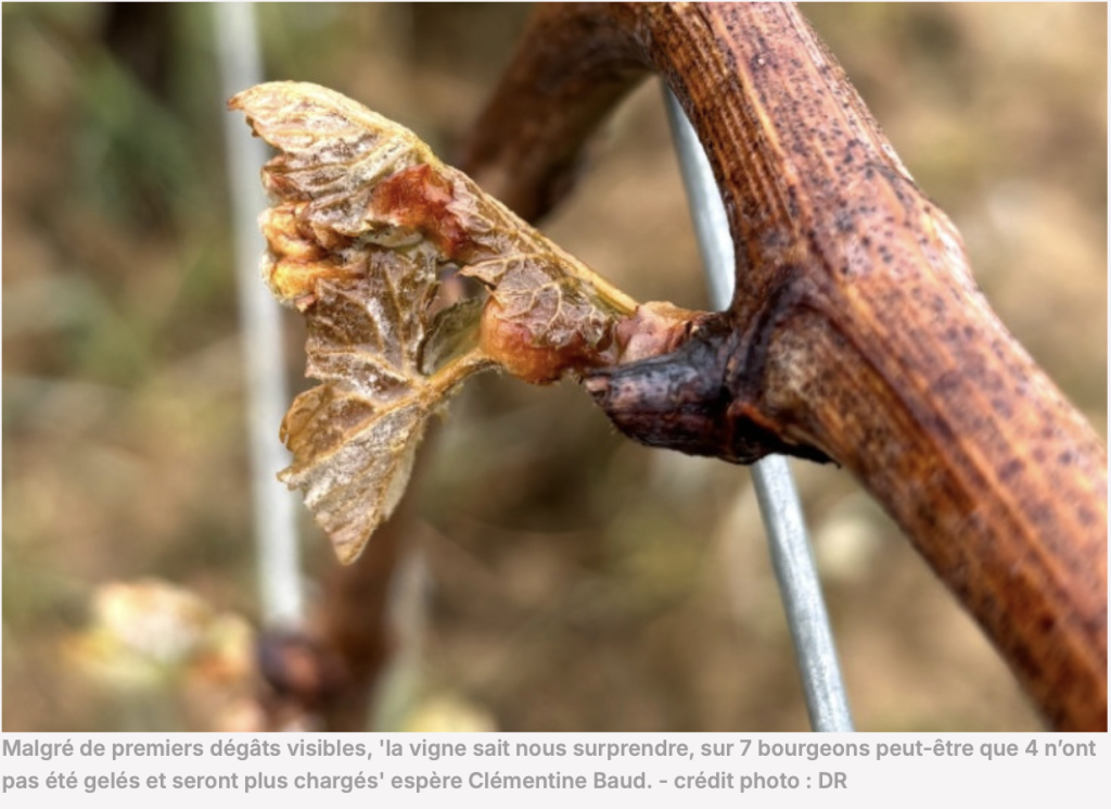 Capture d’écran 2026-04-01 à 16.52.49